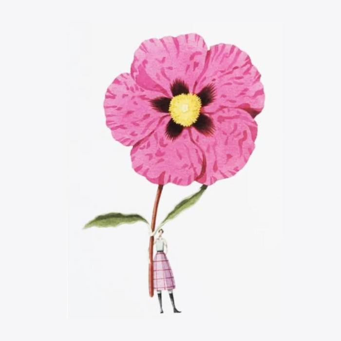 Laura Stoddart illustration of an oversized pink rock rose with a tiny woman in a tartan skirt holding the stem