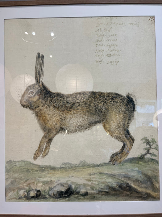 Framed linen hare