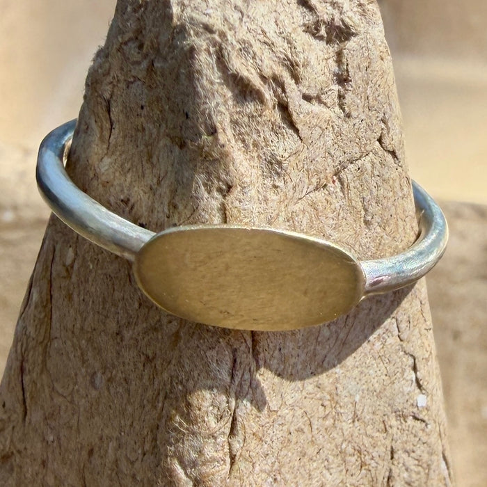 Petite gold and silver ring