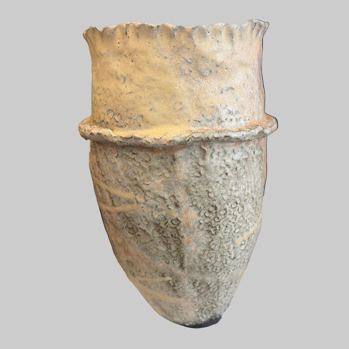 Frilled neck vessel