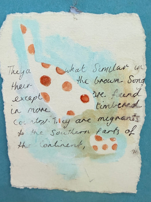 Little spotted bird (unframed)