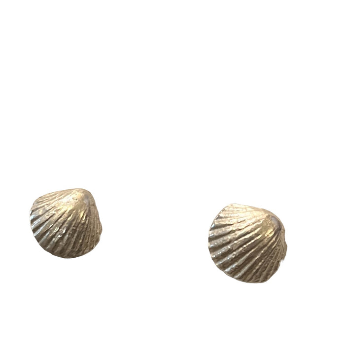 Silver shell studs