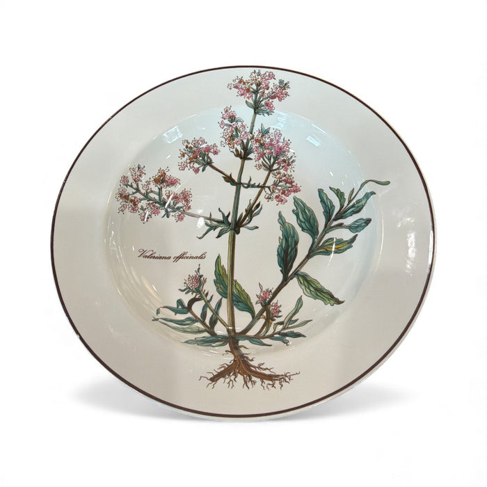 Botanica bowls \ set of 2