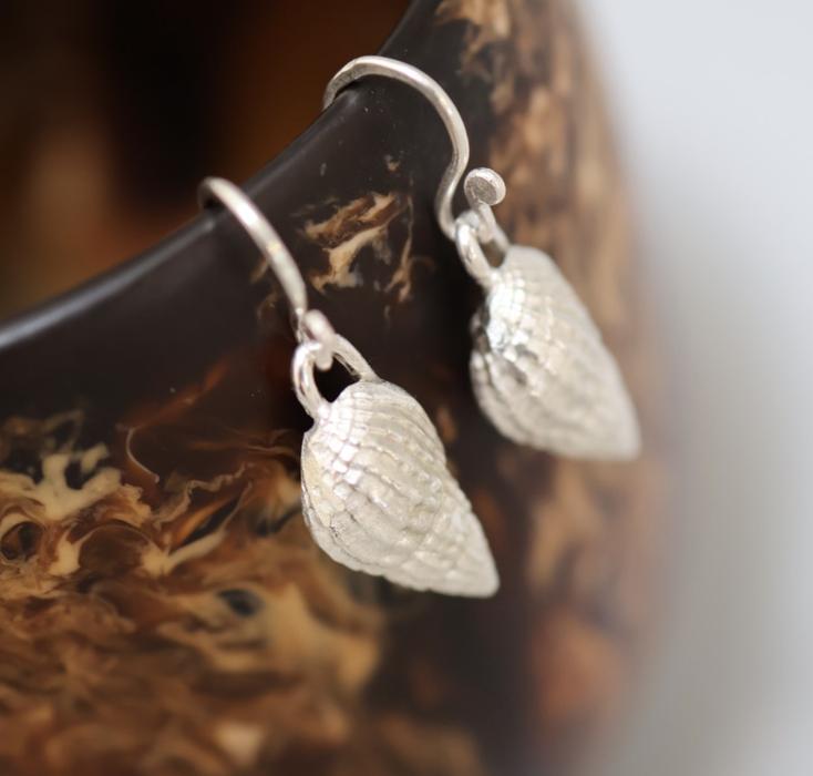 Silver cone shell hook earrings