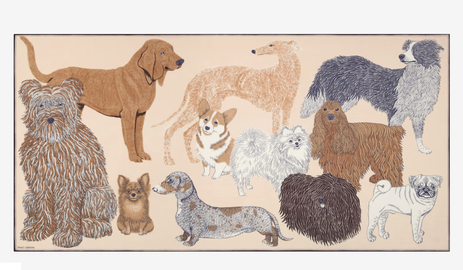 Tou tou (dogs)
