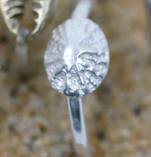 Silver limpet shell ring