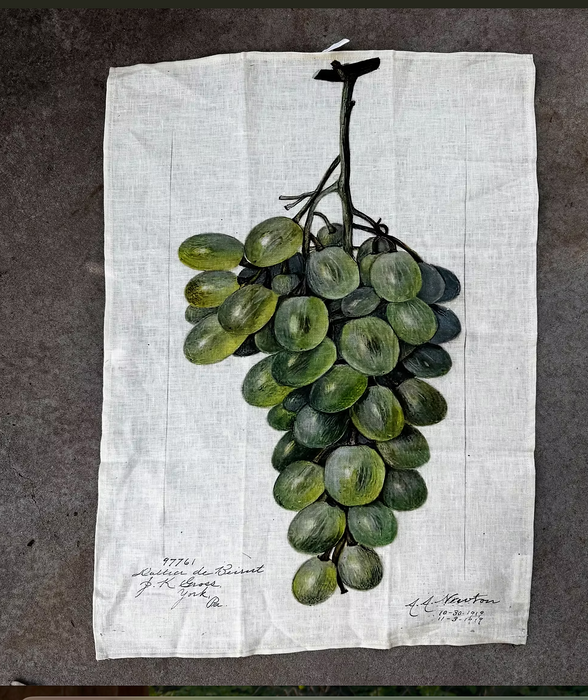 Vintage printed tea towels