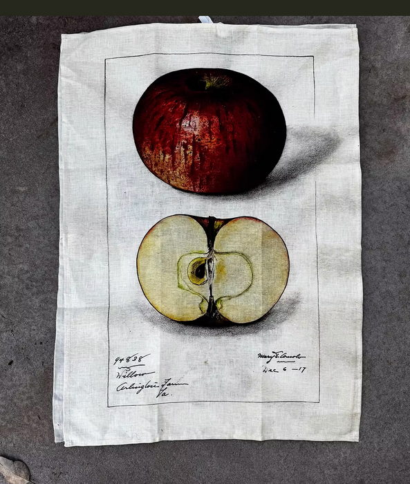 Vintage printed tea towels