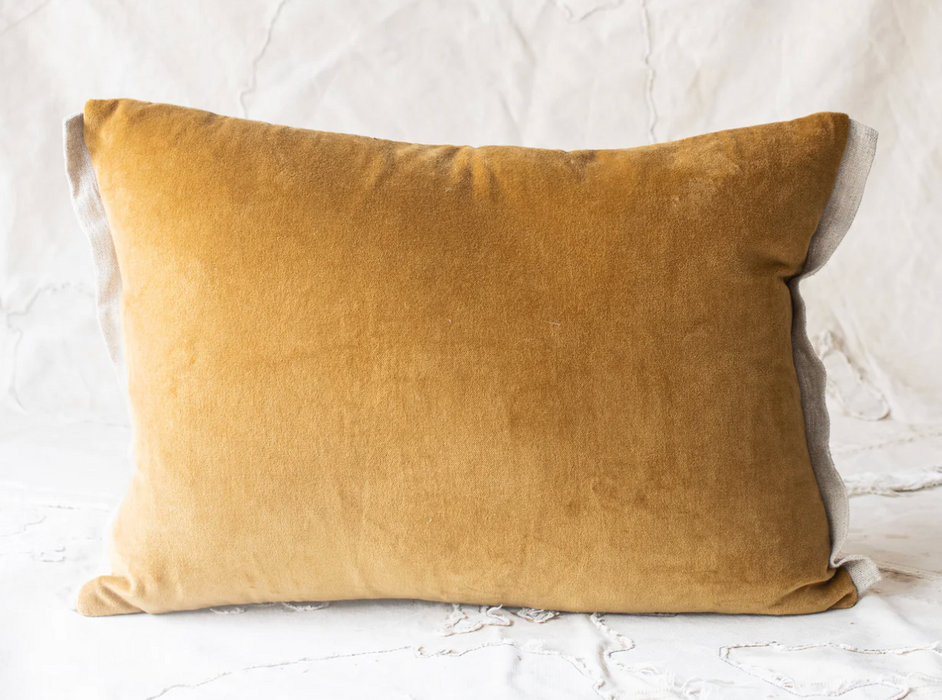 Médici's velvet cushion