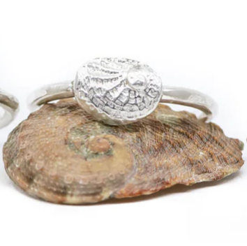 Petite silver abalone ring