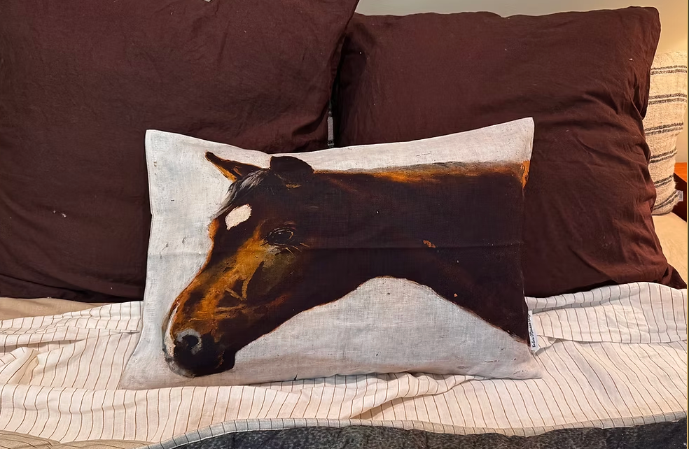 Digitally printed linen cushions