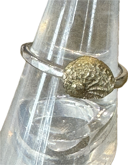 Petite abalone ring