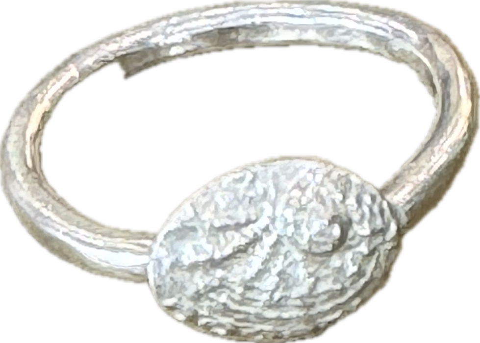 Petite silver abalone ring