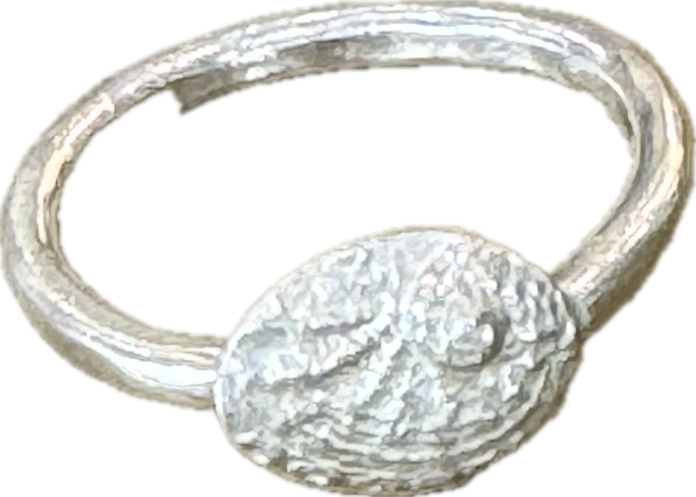 Petite abalone ring