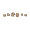 Shimara Carlow acorn cup stud earrings in sterling silver and 18ct gold, XXS and XS sizes