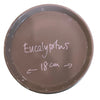 Anne Black porcelain side plate in eucalyptus