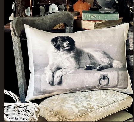 Barbara O'Donovan digitally printed linen cushion, old sea dog