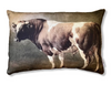 Barbara O'Donovan digitally printed linen cushions in the bull