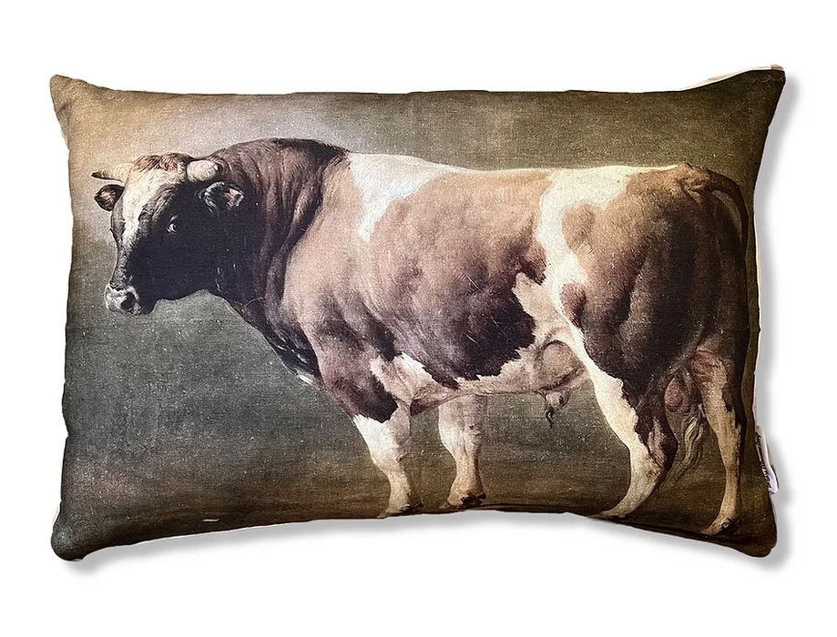 Barbara O'Donovan digitally printed linen cushions in the bull