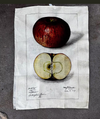 Barbara O'Donovan vintage printed tea towels, alternate view