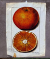 Barbara O'Donovan vintage printed tea towels in orange