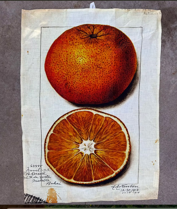 Barbara O'Donovan vintage printed tea towels in orange