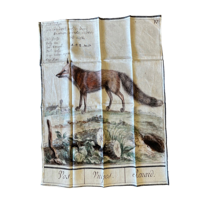 Barbara O'Donovan XL linen tea towel laid flat, printed with a vintage fox illustration and the captions Vos, Vulpes, Renard