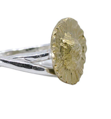 Kate Macindoe brass seaside daisy ring, alternate view
