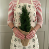 Laura Stoddart Christmas apron