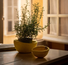 Muskhane felted bowl, medium, in natural