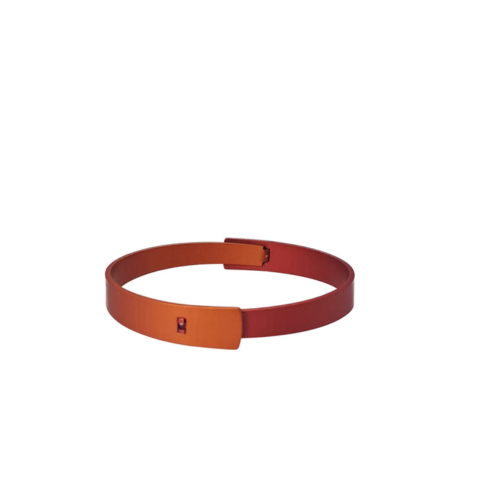 Nova two tone bangle