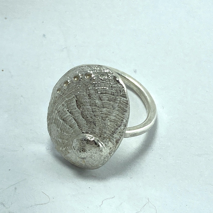 Silver abalone shell ring