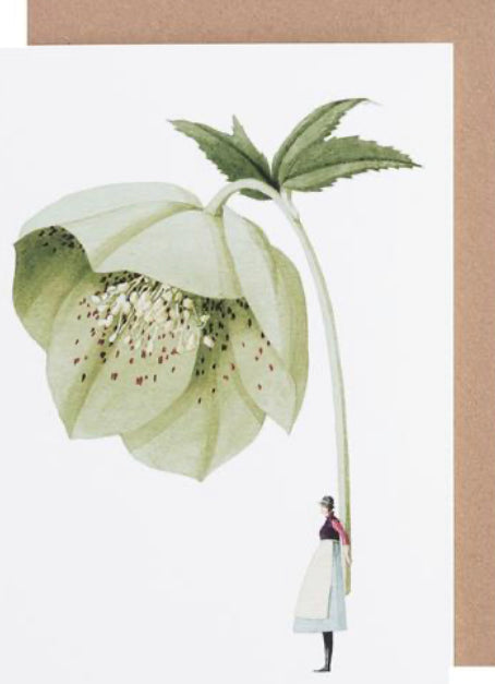 Greetings card | Botanical illustrations