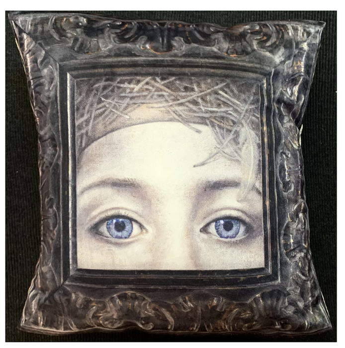 Velvet blue eyes cushion