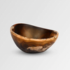 Dinosaur Designs Flow spice dish in dark horn, brown and amber resin