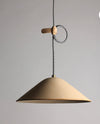IEFrancis leather loop light pendant