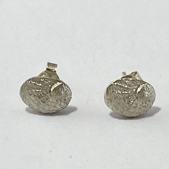 Kate Macindoe silver studs in nautilus shell