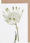 Laura Stoddart illustrated greetings card, alternate design