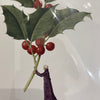 Laura Stoddart illustrated greetings card, alternate design