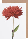 Laura Stoddart illustrated greetings card, alternate design