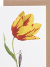 Laura Stoddart illustrated greetings card, alternate design