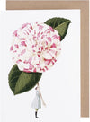 Laura Stoddart illustrated greetings card, botanical design